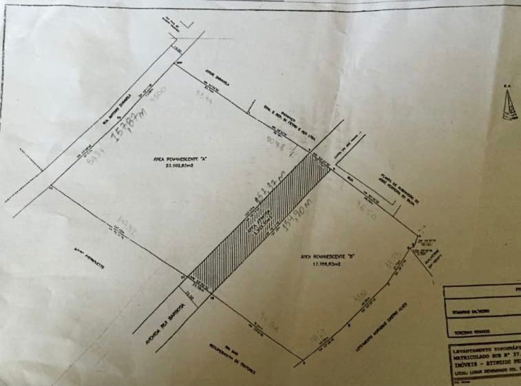 Área 23.044,60m² - Av. Rui Barbosa - São José dos Pinhais – foto 4